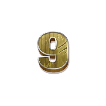 Symbol 12