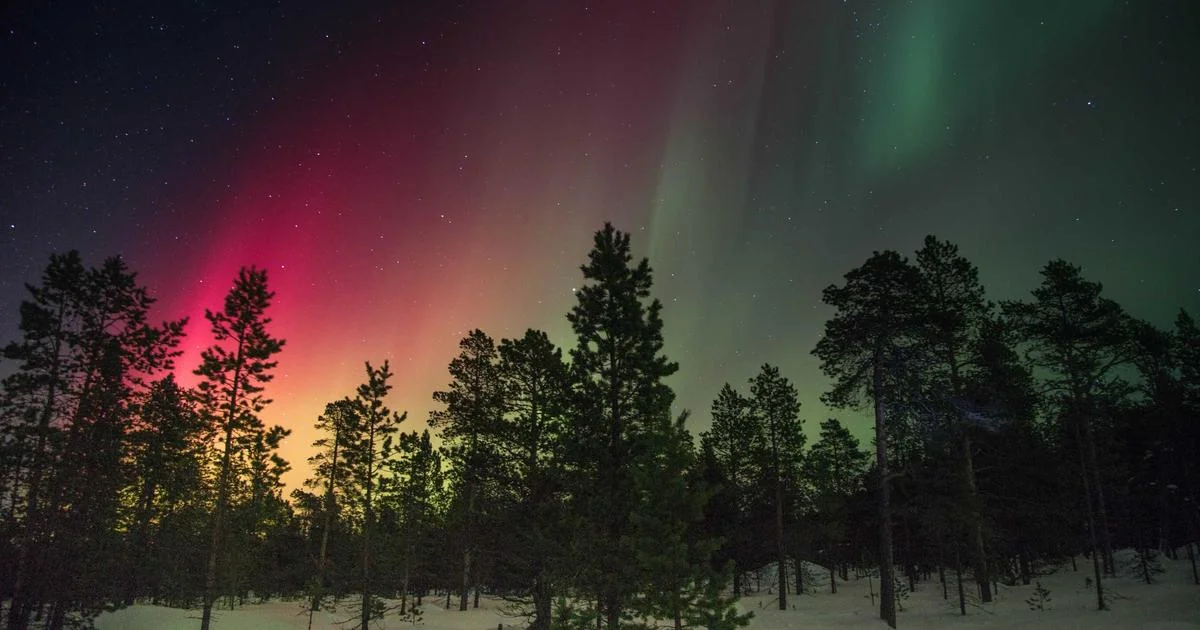 新作發佈：『麻將胡了 3』震撼登場