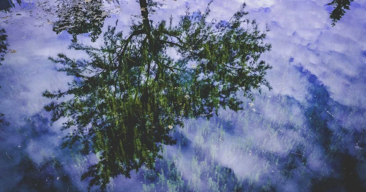 負責任博彩：我們的新承諾