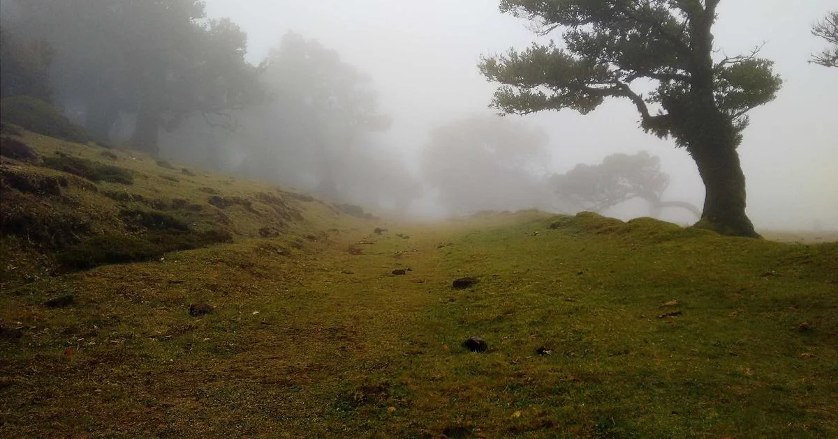 合作夥伴：與知名平台達成戰略聯盟